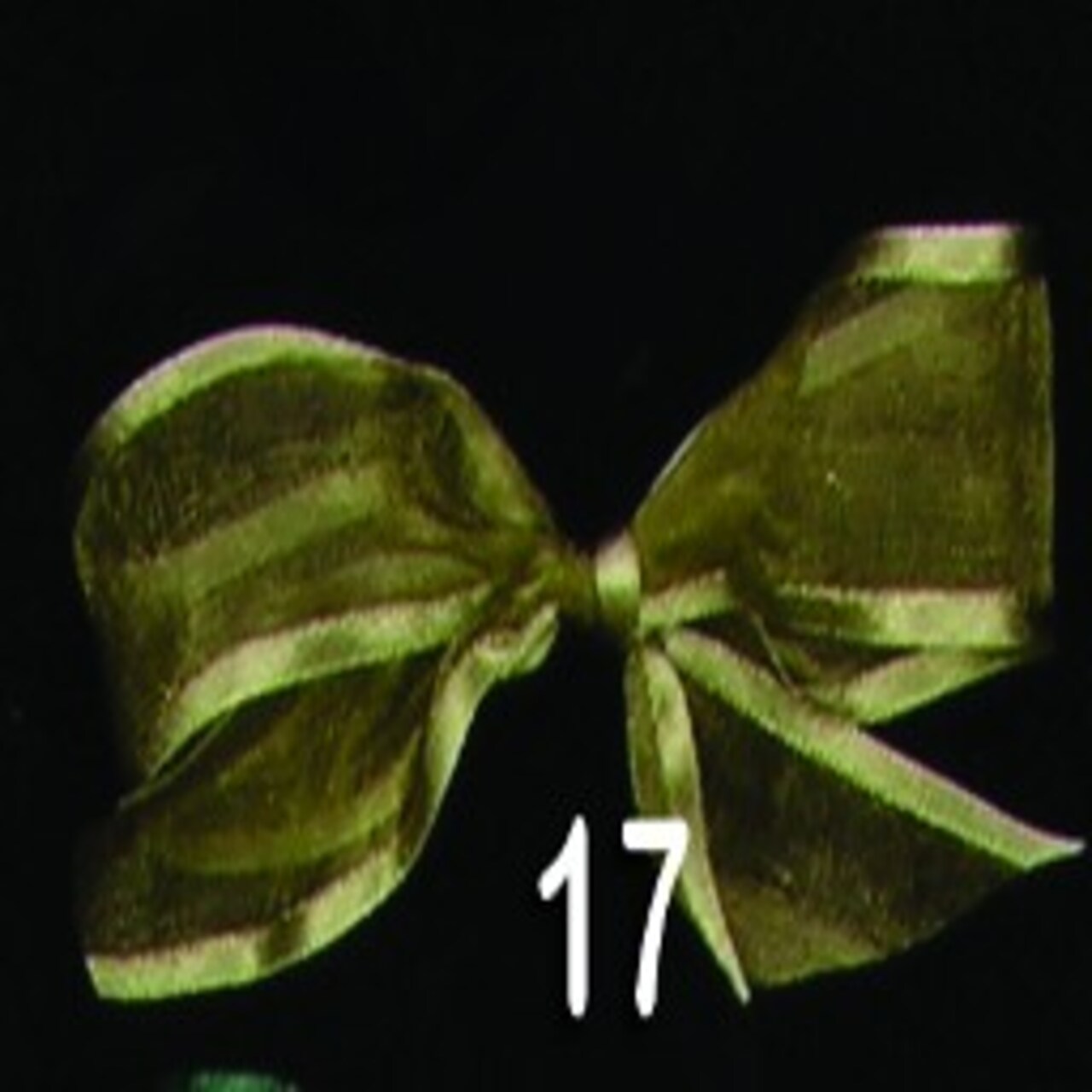 The Ribbon People Pine Green Solid Edged Craft Ribbon 0.5" x 30 Yards